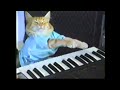 Play him off, keyboard cat