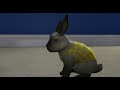a day with a sims 4 rabbit...and a cat