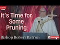 Bishop Robert Barron  |  It’s Time for Some Pruning