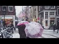 A Snowy Day In Amsterdam