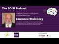 Laurence Steinberg: why do adolescents take risks?