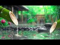 Relaxing Zen Music - Meditation Music, Peaceful Music, Bamboo,Relaxing Music,Nature Sounds, Spa, BGM