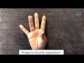 Finger Warm Up Exercises for Handwriting and Fine Motor Dexterity I Occupational Therapy