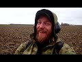 Metal detecting in a brussel sprout field.