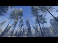 The Hunter - Call of the Wild. Relaxing Graphics Demonstration.