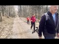 Group of senior hikers on Bjelolasica mountain in Croatia