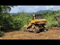 This is What Happens When a Rogue Operator Forces a Dozer to Break Through a Bushes