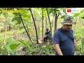 The beautiful atmosphere at Kebon chatting casually with the elder Baba Sai