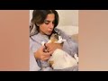 Super FUNNY CAT VIDEOS! 😹 Funny ANIMALS videos 2024 #3