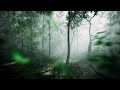 Porter Robinson - dullscythe (Official Music Video)
