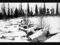 Finland in WW2 The Winterwar