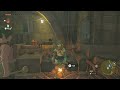 Zelda Tears of the Kingdom how to get rupees