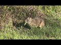 Natural Beauty of Colt Creek State Park, Florida @Carol-Beauty of Nature