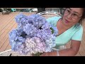 Tips on Flower Arrangement - Episode no.153