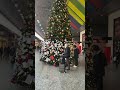意大利都灵 挂满祝福的圣诞树