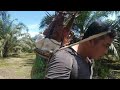 looking for bamboo in the forest//Ngiga Tubu betong