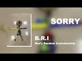 7. Sorry - BRI