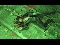 Fallout 4 - Oswald becomes one with the catwalk