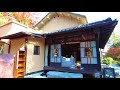 【4K】Japan Walking Tour - Autumn Leaves in the Beautiful Japanese Garden