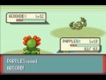 Pokemon Emerald Nuzlocke Roulette Part 4 - The Gym