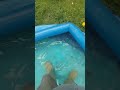 Walking around in a paddling pool in my Green Berwick Wellies.