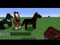 Minecraft Custom Horse Summon Index | Showcase  @TheDerpyWhaleYT