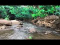 Heavenly River Stream : Soothing Sounds Of Nature Tranquil Water And Rock Melodies