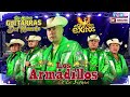 Mix Exitos Los Armadillos de la Sierra — Puros Corridos Mix Pá Pistear — 30 Exitos Corridos De Oro