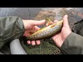 Fishing Finsbay Lochs for Harris Trout and Sea Trout