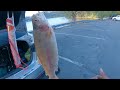 Epic fishing at LAKE GREGORY!!! (Golden Trout, Slab Crappie)