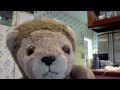 Teddy Lion episode 2