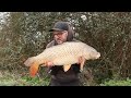 Day Session Carp Fishing || Todber Manor, Wadmill Lake || Martyns Angling Adventures