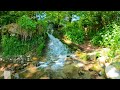 ✅White noise of mountain waterfall, beautiful summer landscape, sunny day in 4K