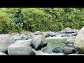 Very mind purifying river sounds [study, sleep, relaxation, ASMR]