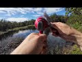 Labour Day Weekend Catching Newfoundland Brookies - NON STOP ACTION - Special Tailgate Lunch