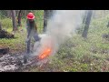 Using Prescribed Fire to Manage My Forest Land & Failing