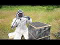 How To Get Bees To Work In The Flow Supers