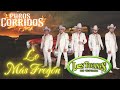 Los Tucanes de Tijuana: Éxitos Poderosos de Corridos Bravos 💥40 Mezcla de Éxitos de Corridos Fuertes