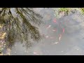 How to clean a pond without draining it