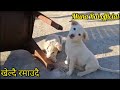 सानो मान्छेहरु खेल्दै #munaraiofficial #highlights #highlight #highlight #everyone #comment #puppy