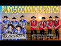 Los Terribles Del Norte Sus Mejores, Juan Acuña y El Terror Del Norte - Puros Corridos Exitos