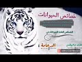 احياء١- ملخص الفصل السادس(مدخل الى الحيوانات)