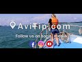 Deep Sea Fishing Tour Phuket | Price | Review | Avitip