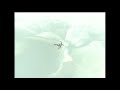 Shadow of the Colossus: E3 Demo Argus Meme