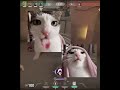 funny cat edit - valorant