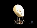 Animatronic Robotic Industrial Neck Mechanism Human Size