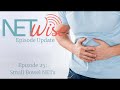 NETWise Episode 25: Small Bowel NETs (Updated Episode )