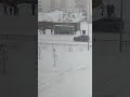 Непогода в Кокшетау: снегопад БЕЗ ВЕТРА | 3 февраля