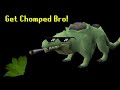 I Obtained Runescape's RAREST Pet in My Starting Chunk! #14