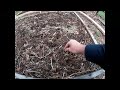 Preparing a Raised Bed - Planting Corn